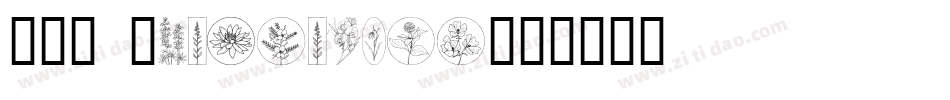 AC3 Wildflower字体转换